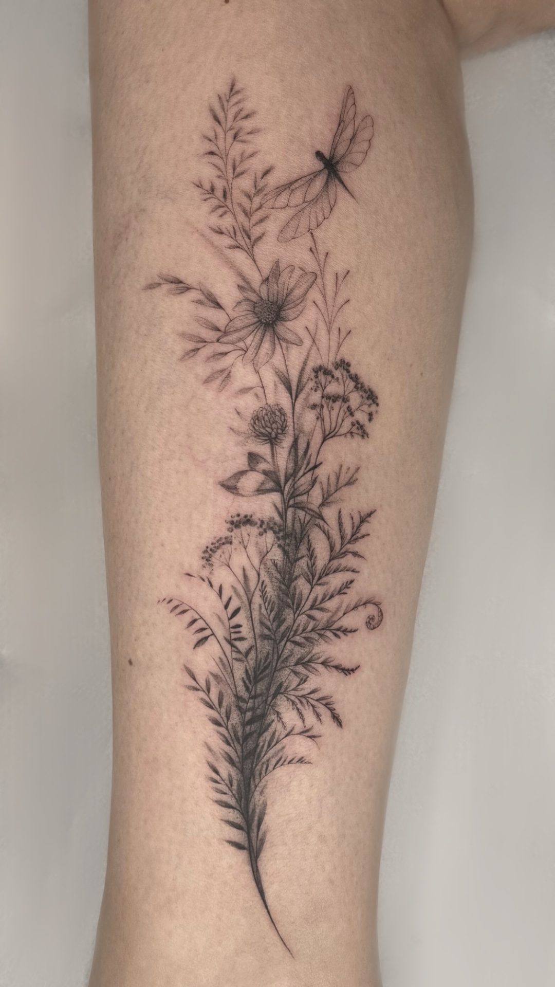 Fine Line Botanik
