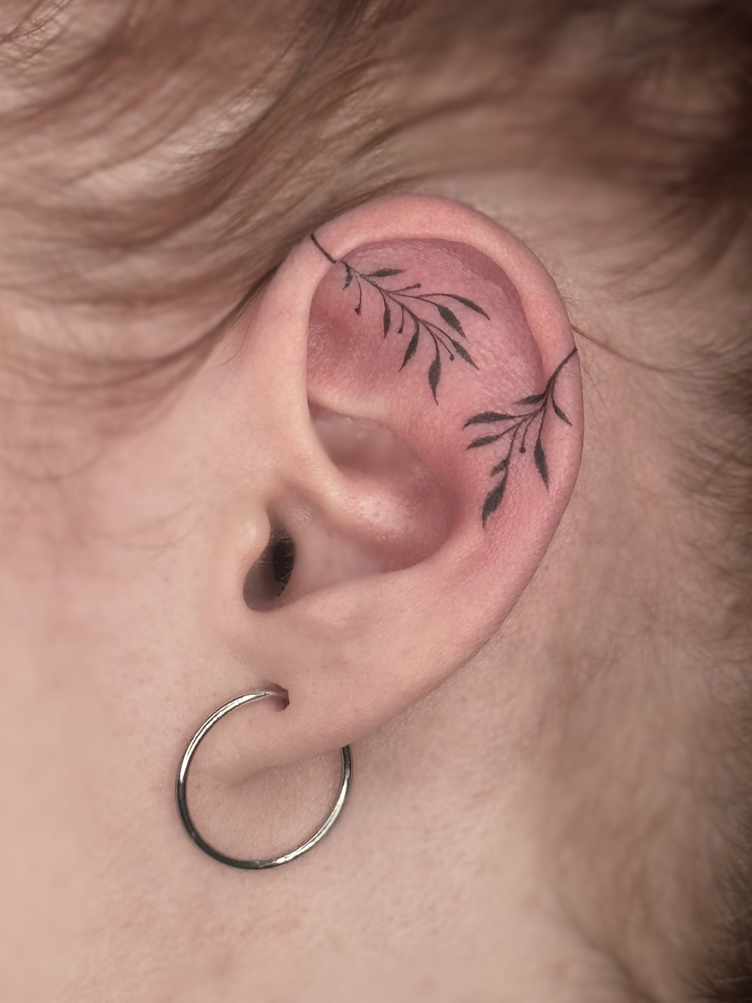 Fine Line Ohr