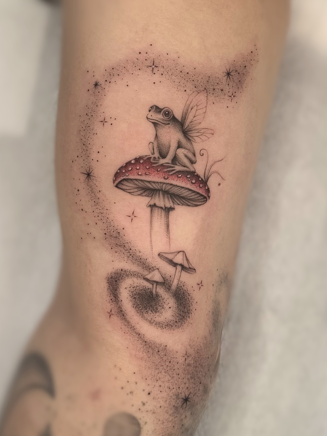 Fine Line Pilz & Frosch